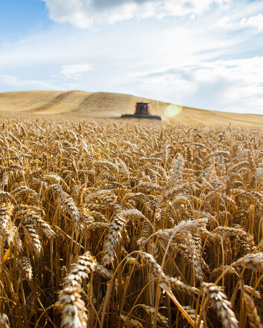 Notre responsabilité sociale